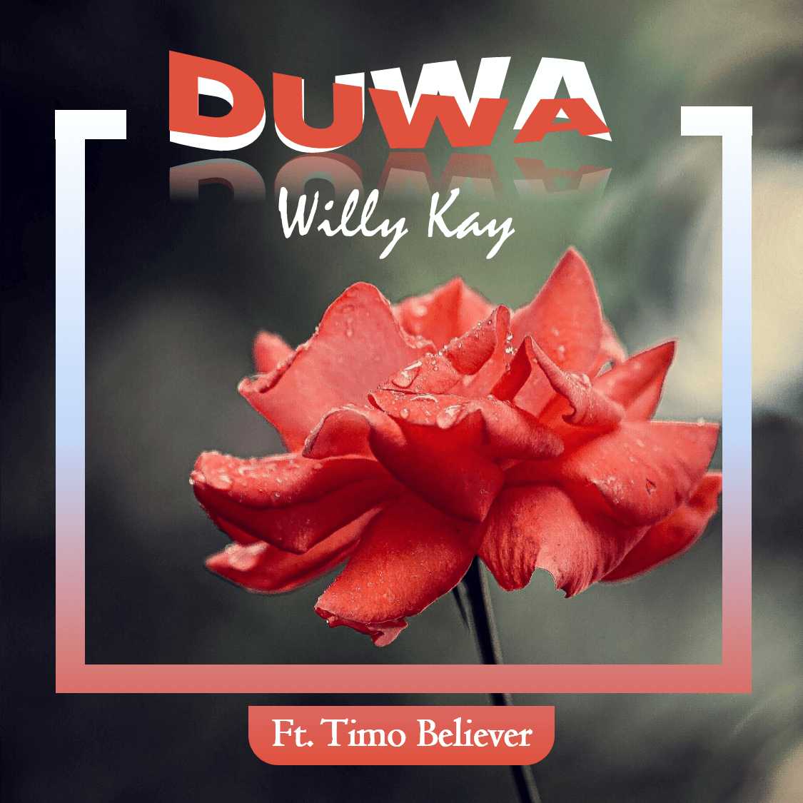 Duwa | Willy Kay ft Timo  Believer | XaMuzik